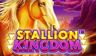 Stallion Kingdom